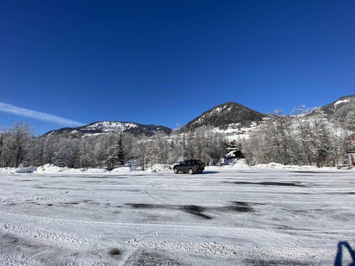 Studio Cabine A Praz-Sur-Arly - 4 Pers, Parking, Proche Centre Et Pistes - Fr-1-603-32 المظهر الخارجي الصورة